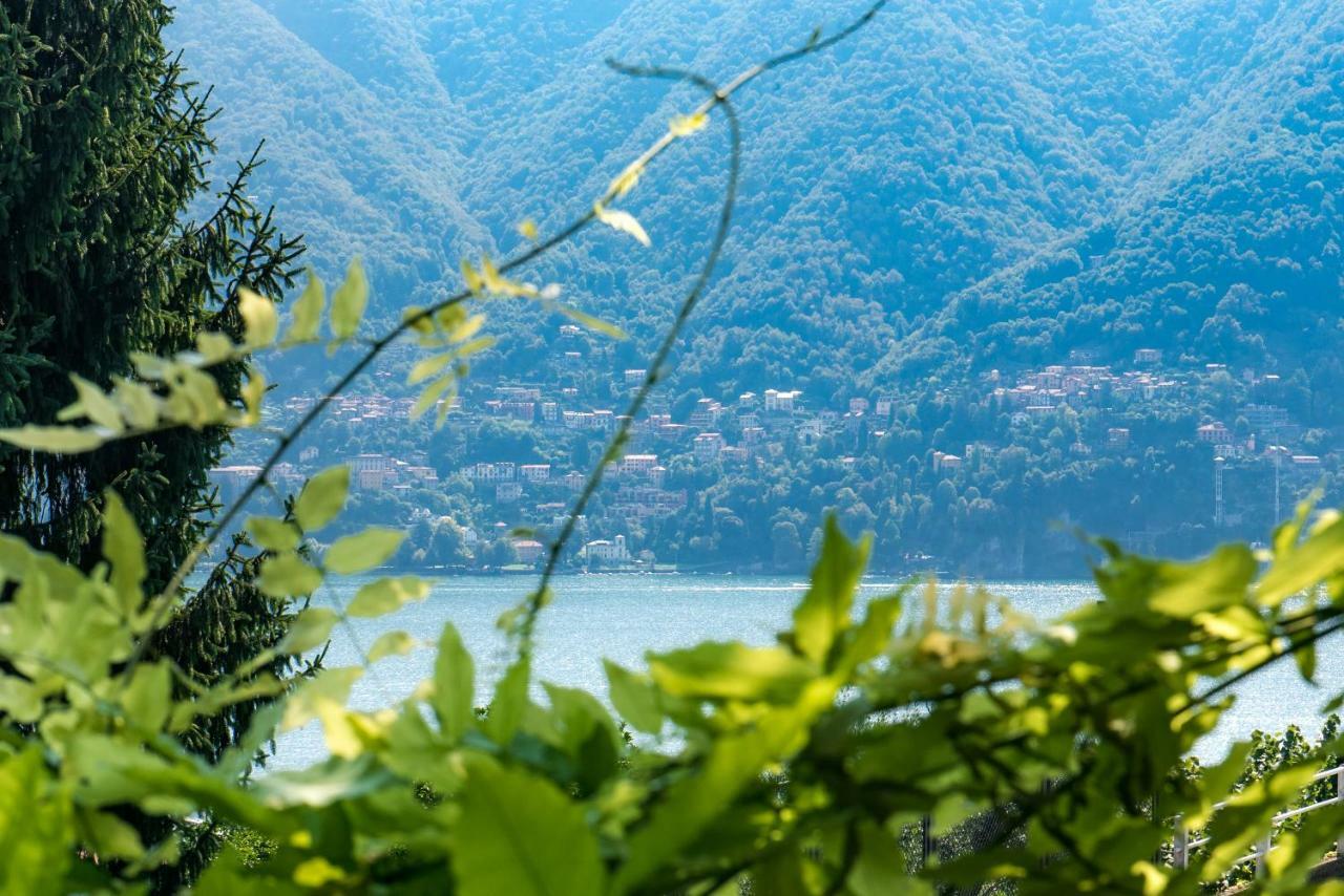 Villa Vittoria - The House Of Travelers Cernobbio Exterior photo